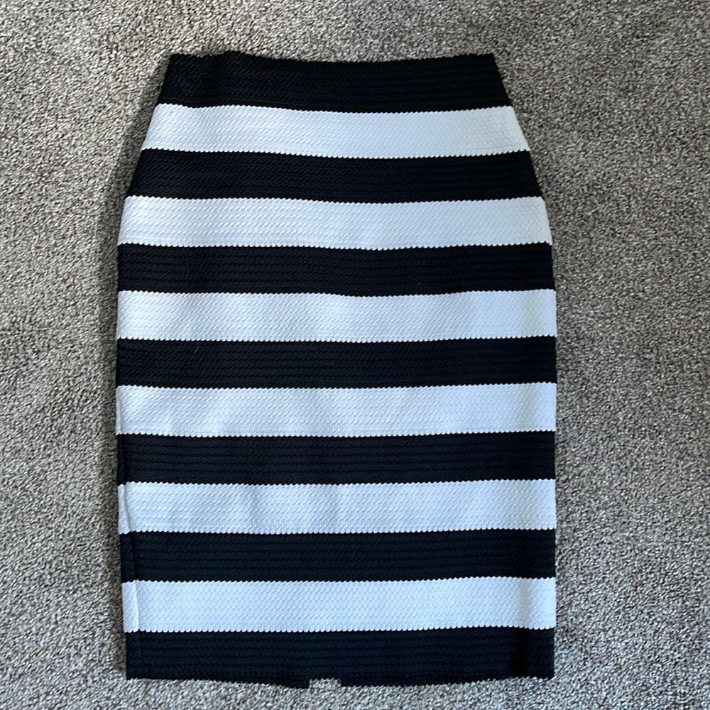 Express Bodycon Skirt